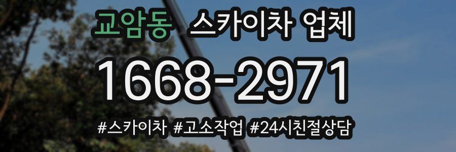 교암동 스카이차 업체