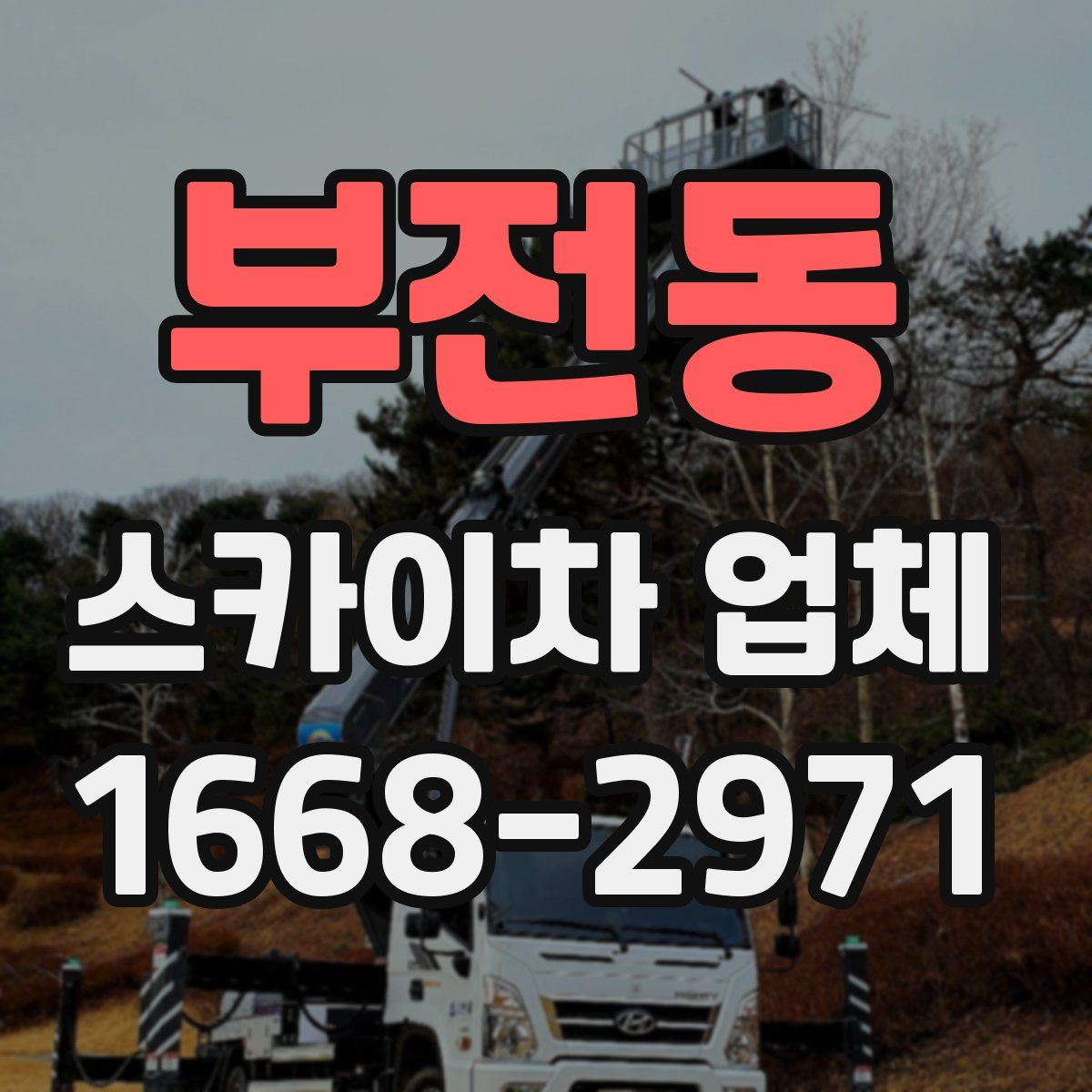 부전동 스카이차 업체