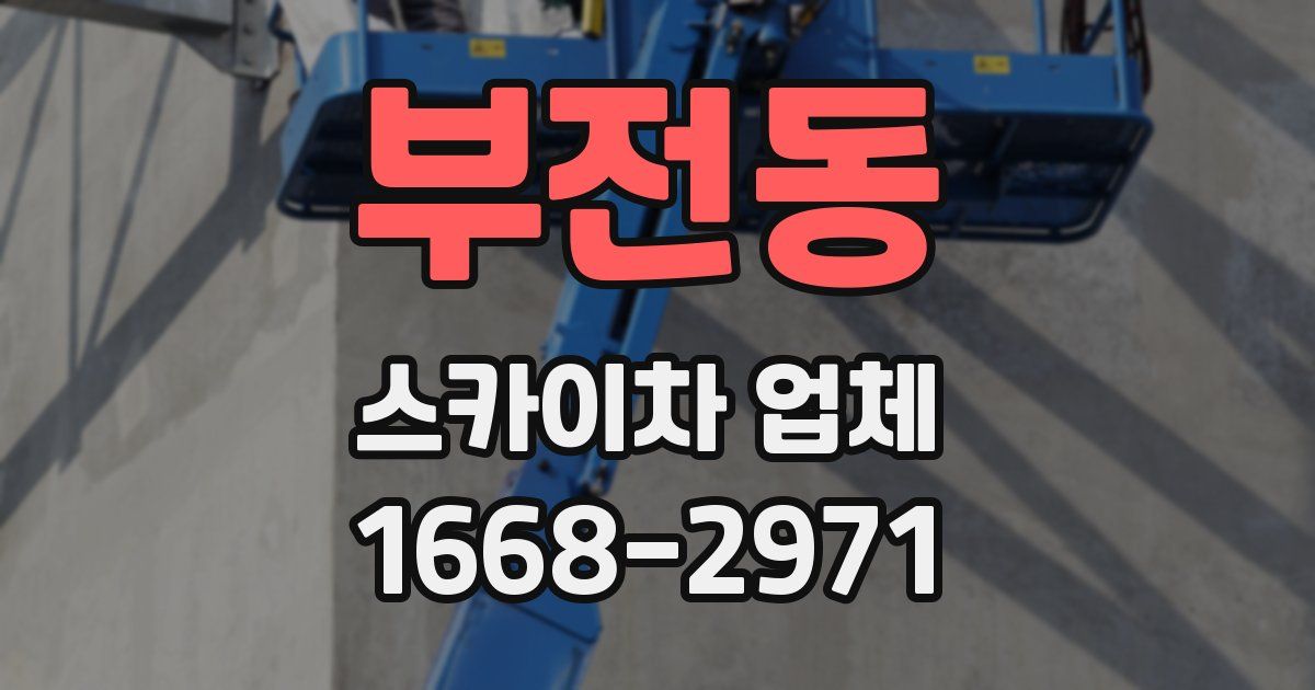부전동 스카이차 업체