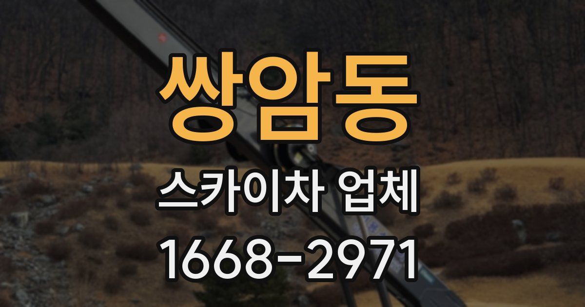 쌍암동 스카이차 업체