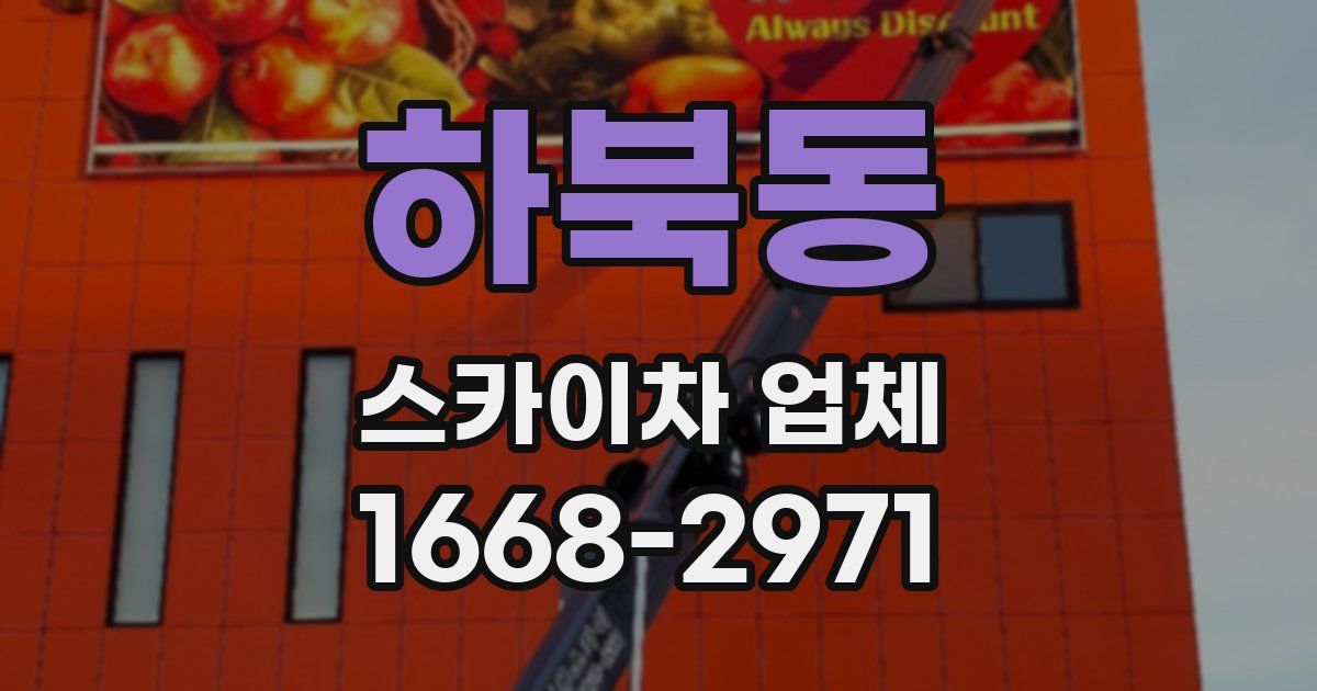 하북동 스카이차 업체