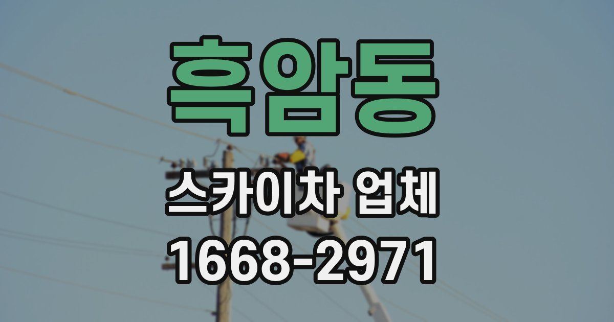 흑암동 스카이차 업체