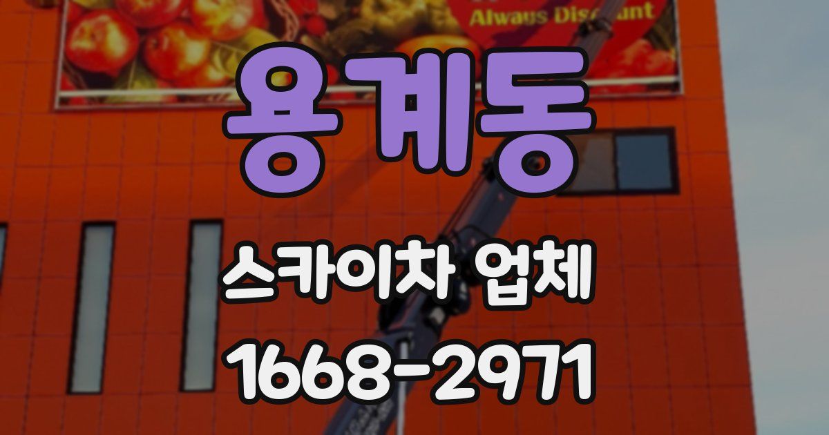 용계동 스카이차 업체