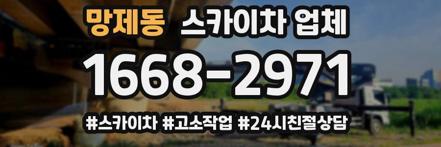 망제동 스카이차 업체