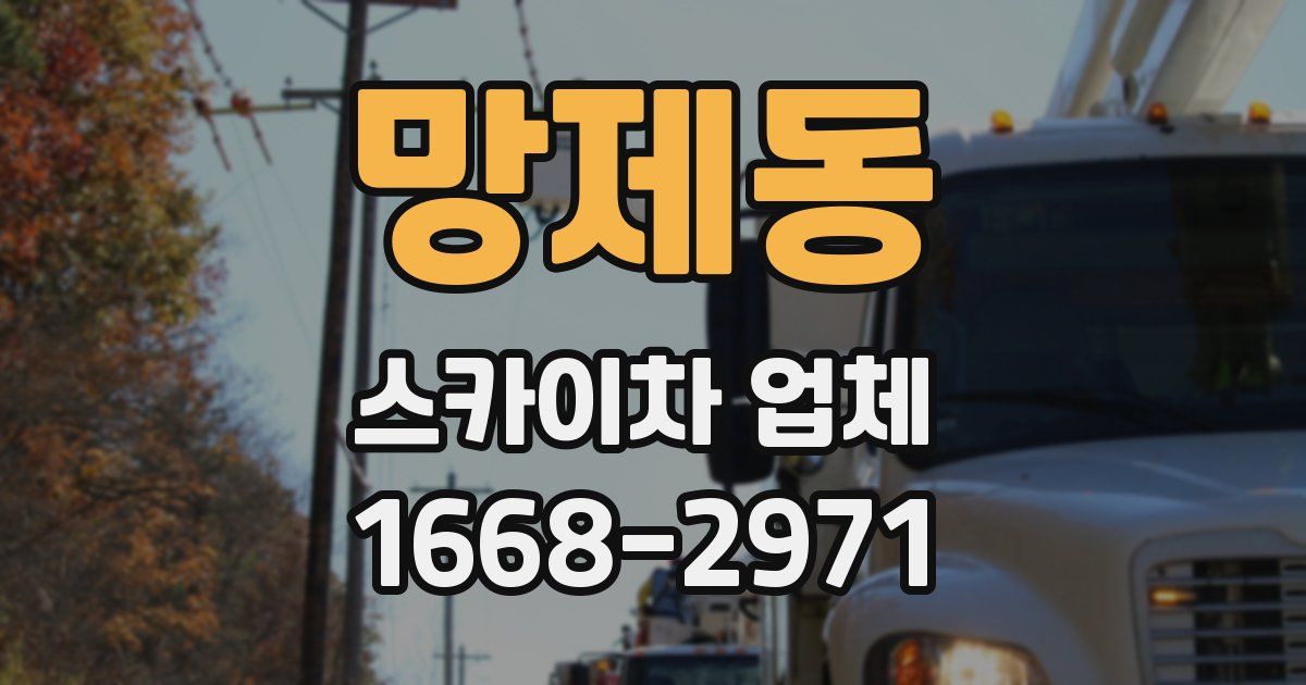 망제동 스카이차 업체