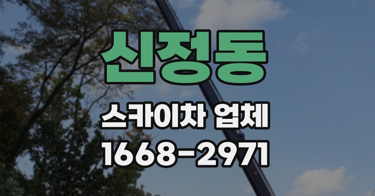 신정동 스카이차 업체