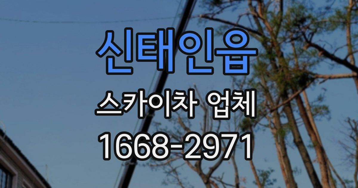 신태인읍 스카이차 업체
