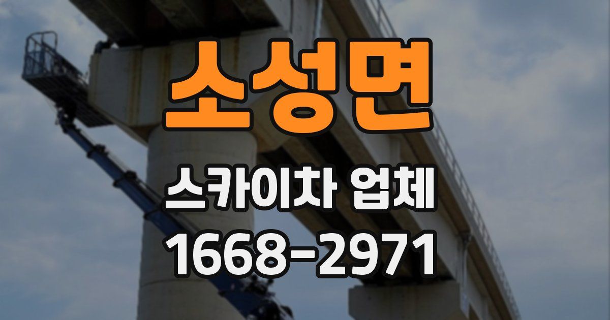 소성면 스카이차 업체