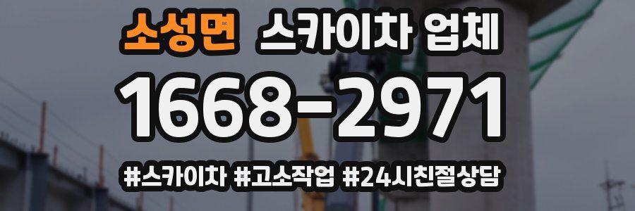 소성면 스카이차 업체