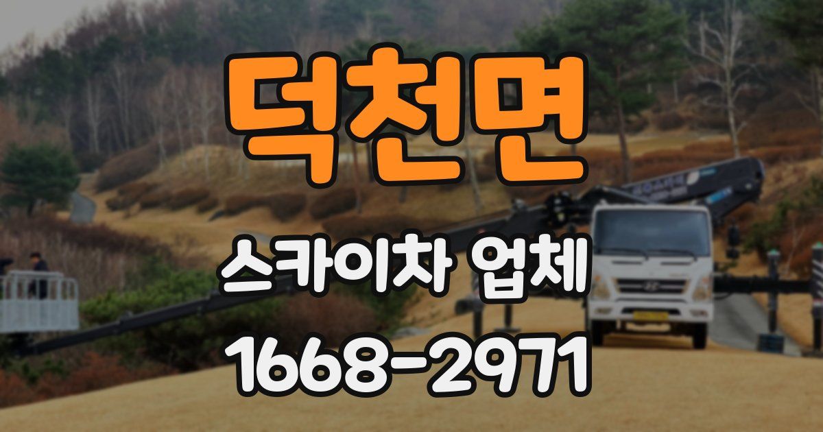 덕천면 스카이차 업체