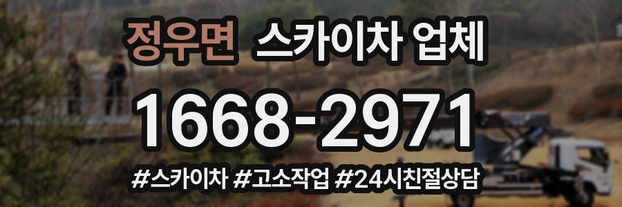 정우면 스카이차 업체