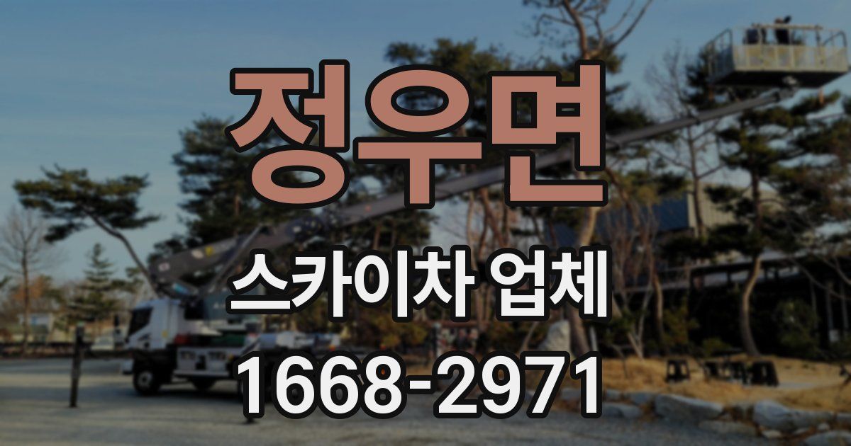 정우면 스카이차 업체