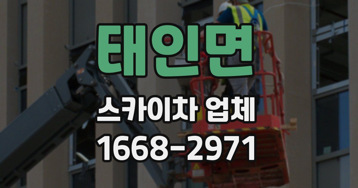 태인면 스카이차 업체