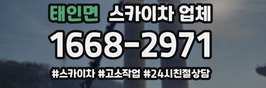 태인면 스카이차 업체