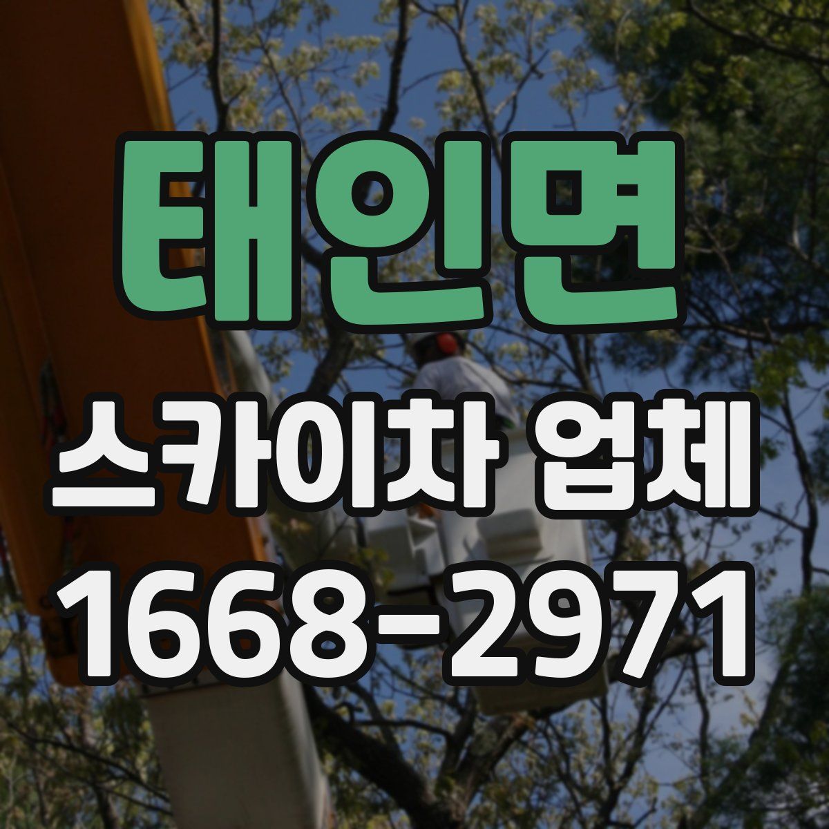 태인면 스카이차 업체