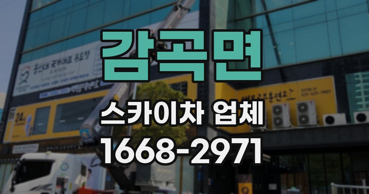 감곡면 스카이차 업체