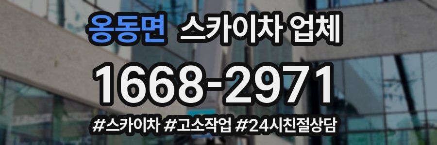 옹동면 스카이차 업체