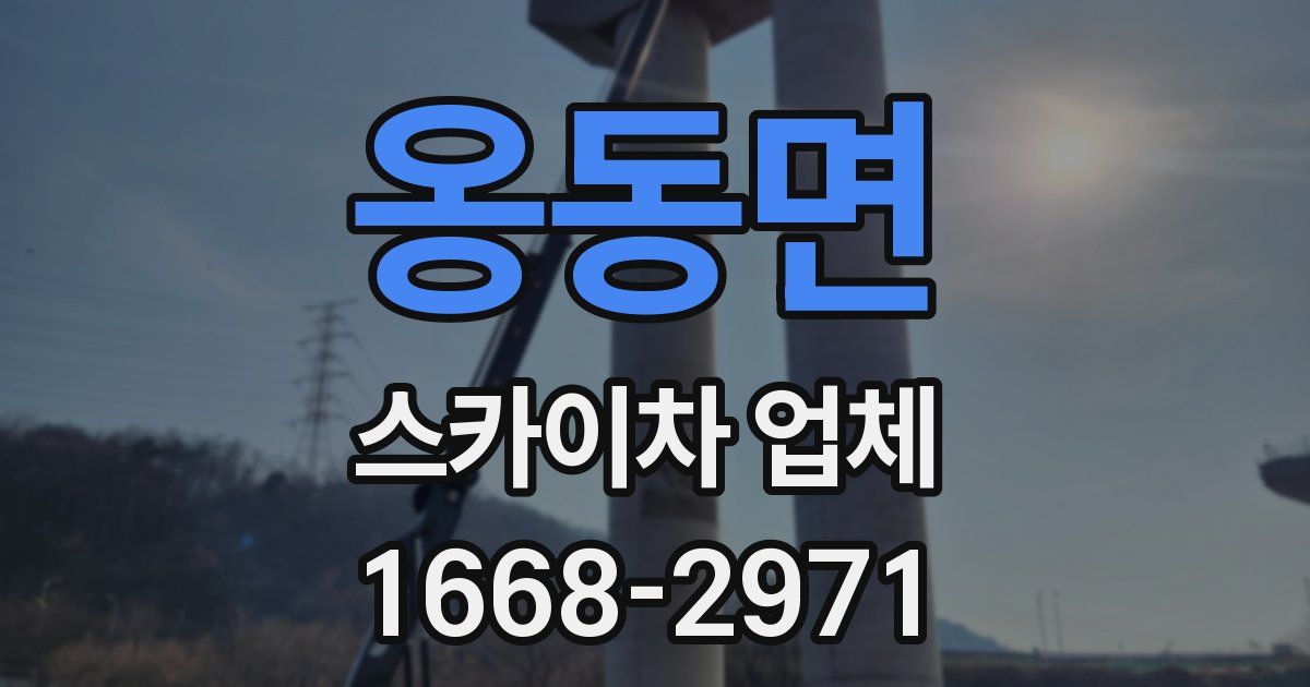 옹동면 스카이차 업체