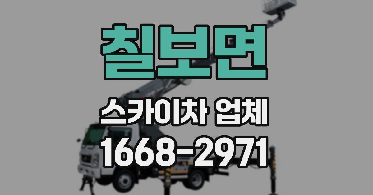 칠보면 스카이차 업체