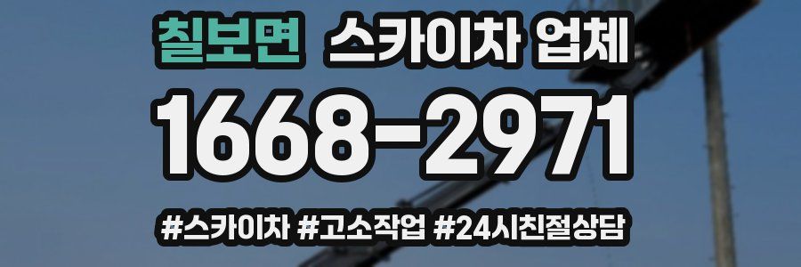 칠보면 스카이차 업체