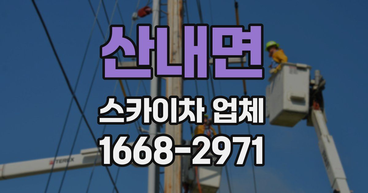 산내면 스카이차 업체