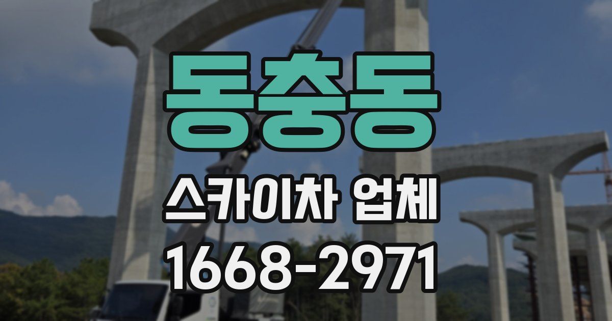 동충동 스카이차 업체