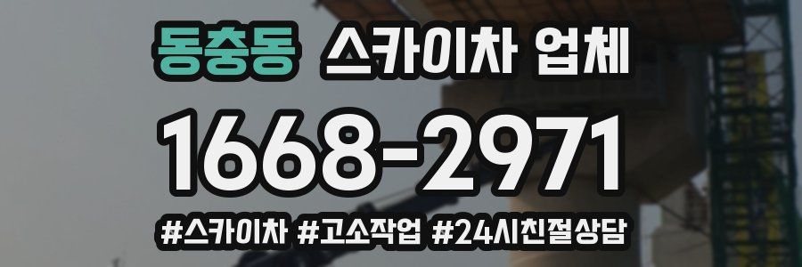 동충동 스카이차 업체