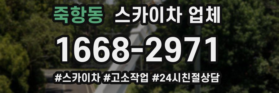 죽항동 스카이차 업체