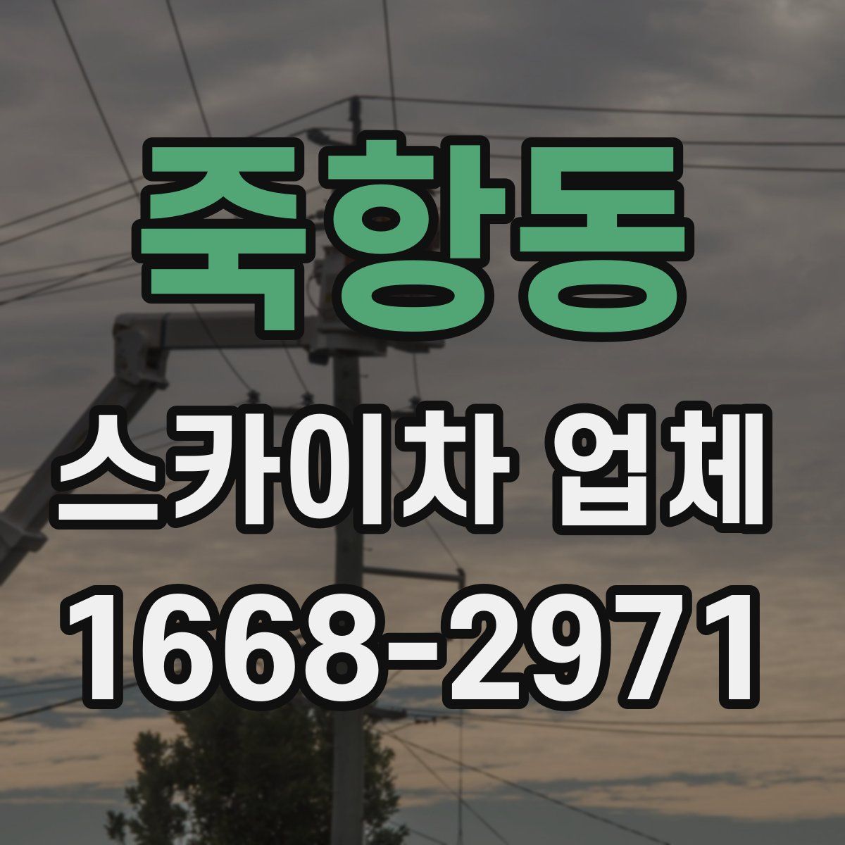 죽항동 스카이차 업체