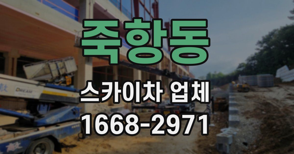죽항동 스카이차 업체