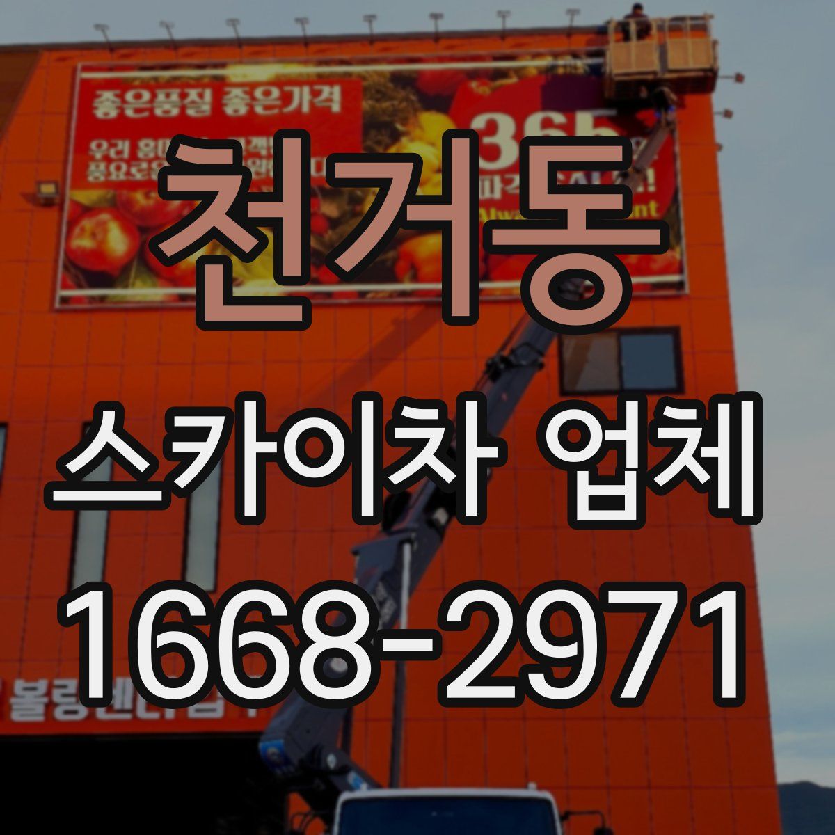 천거동 스카이차 업체