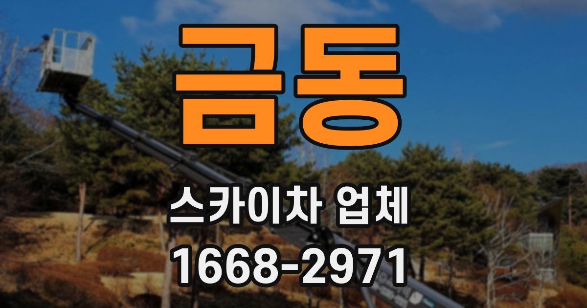 금동 스카이차 업체