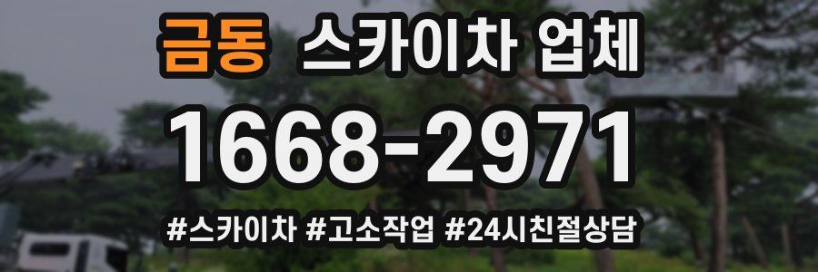 금동 스카이차 업체