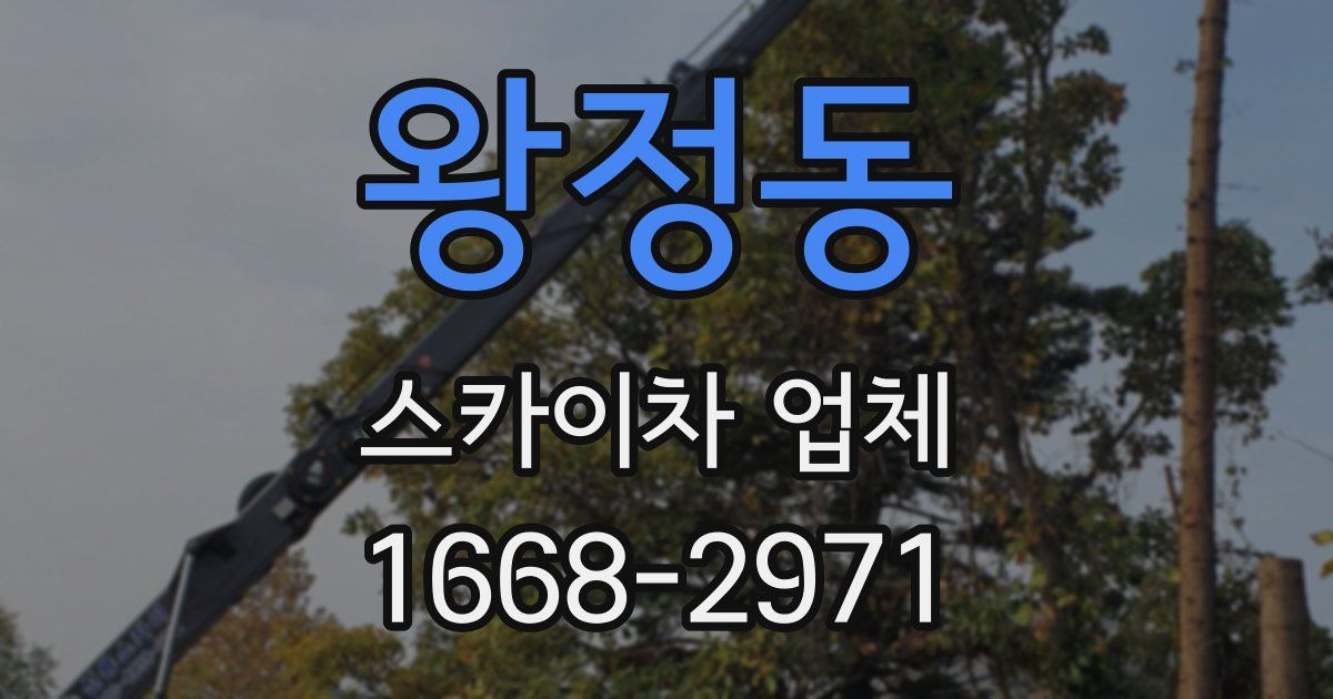 왕정동 스카이차 업체