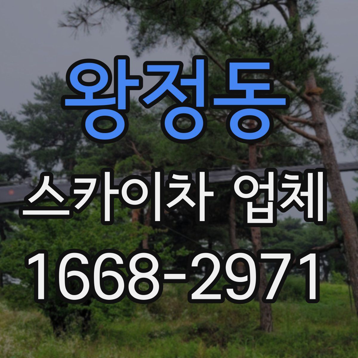왕정동 스카이차 업체