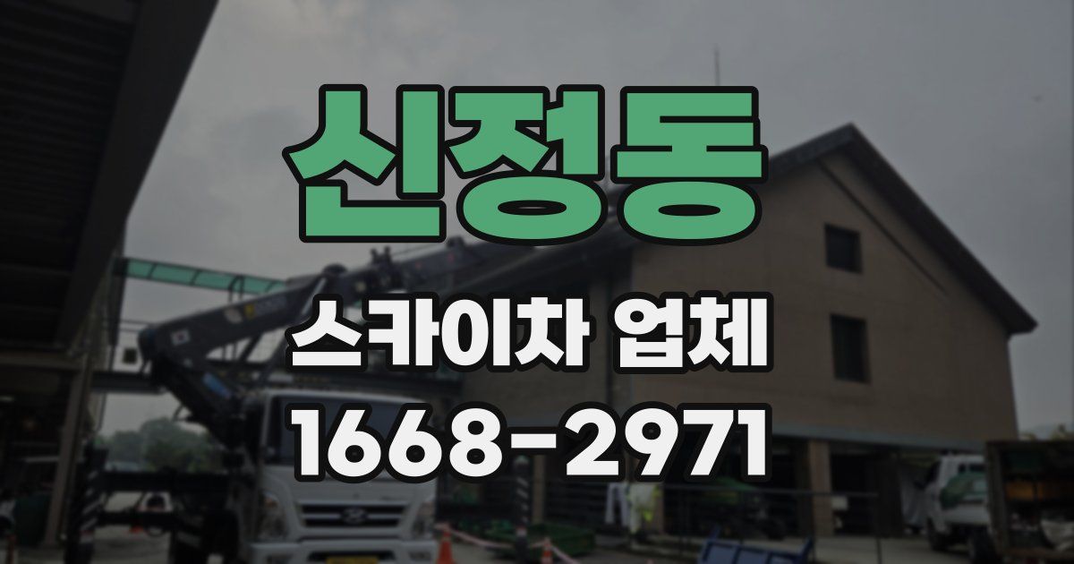 신정동 스카이차 업체
