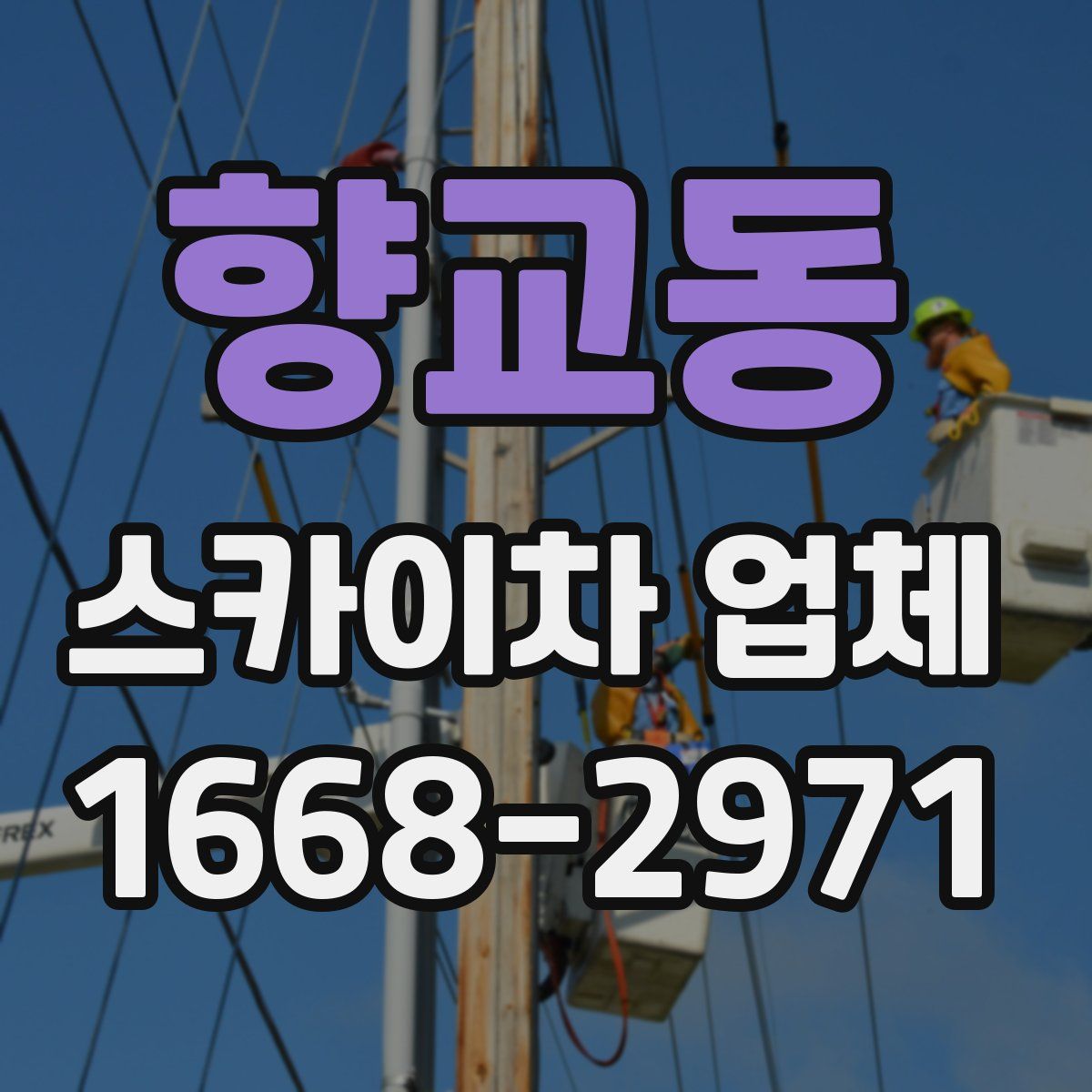 향교동 스카이차 업체