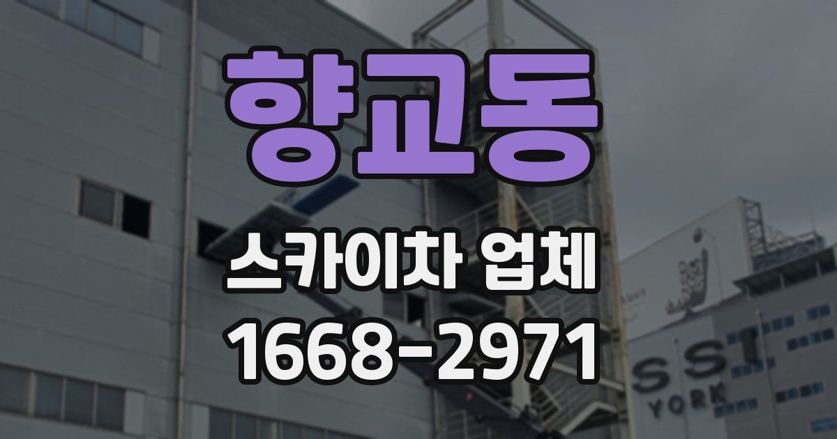 향교동 스카이차 업체