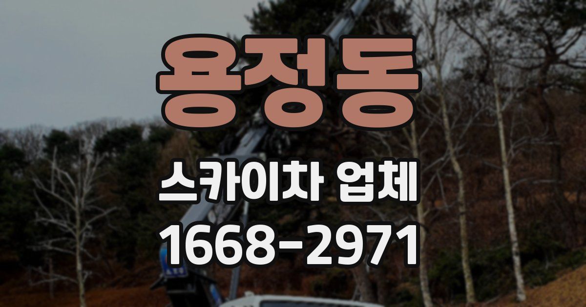 용정동 스카이차 업체