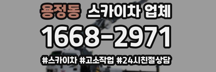 용정동 스카이차 업체