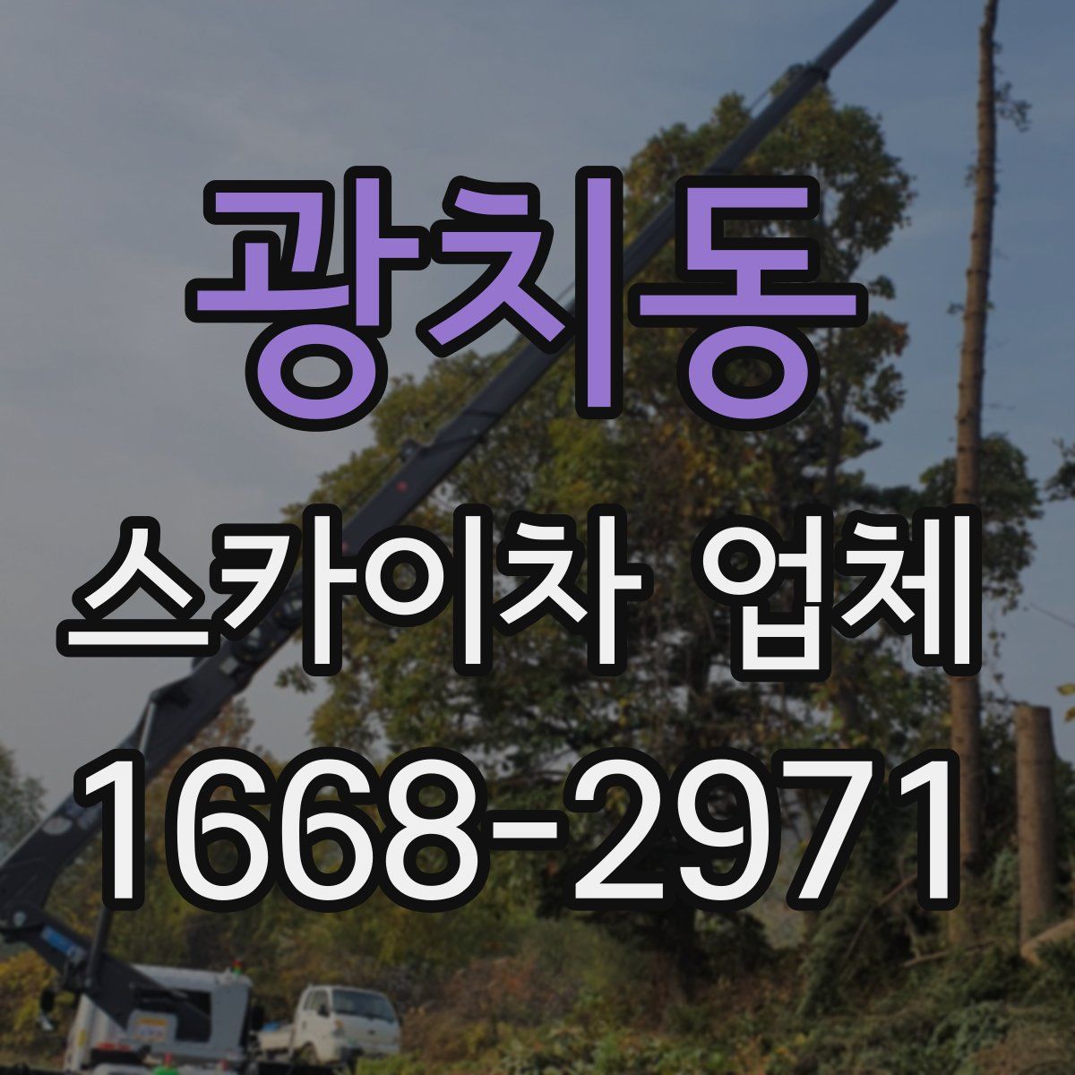 광치동 스카이차 업체