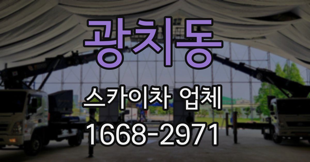 광치동 스카이차 업체