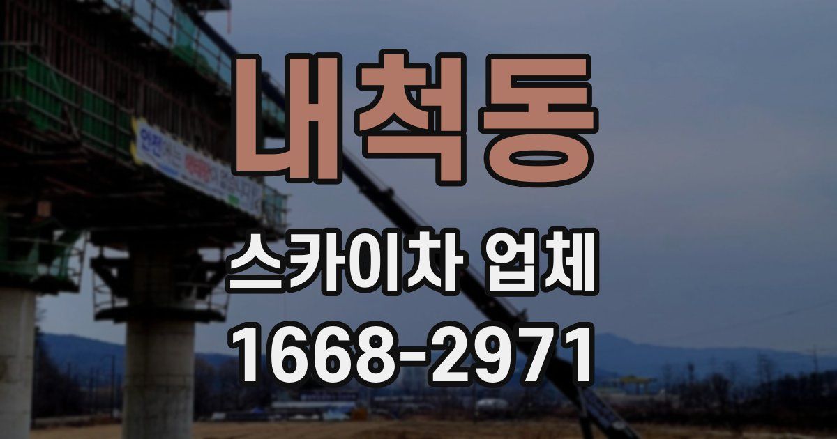 내척동 스카이차 업체