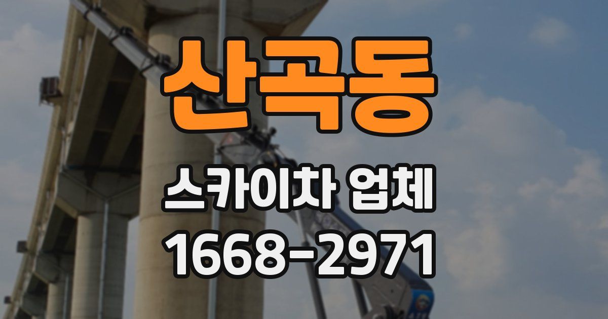 산곡동 스카이차 업체