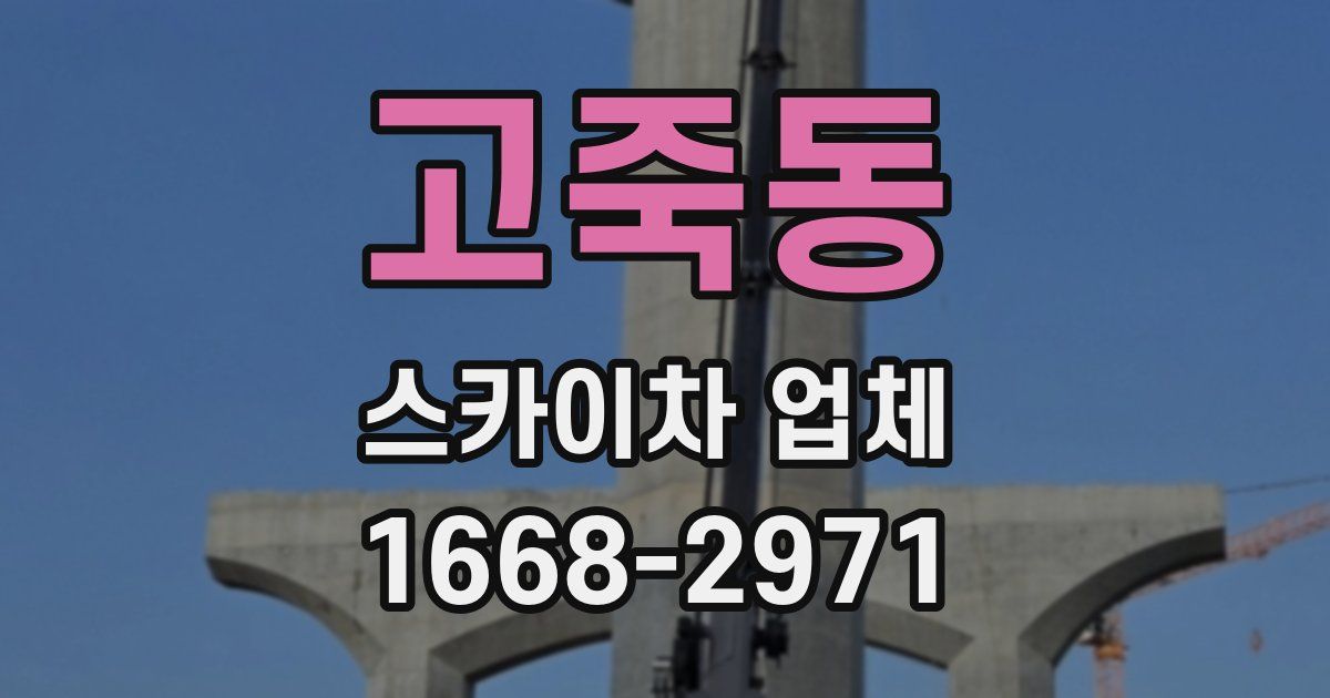 고죽동 스카이차 업체