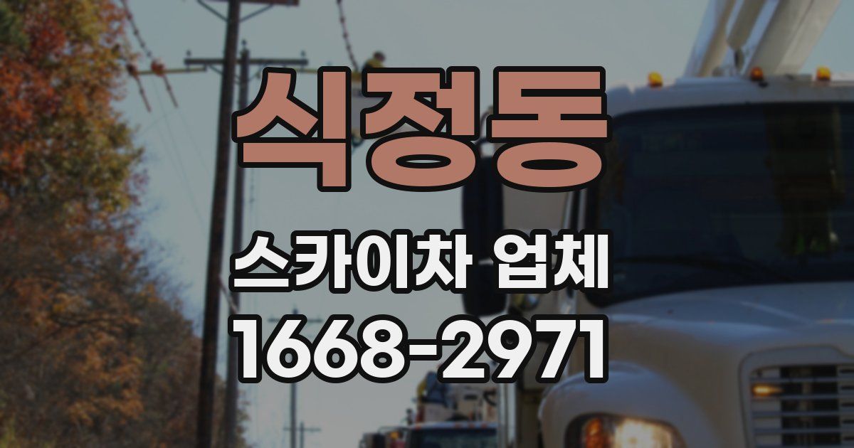 식정동 스카이차 업체