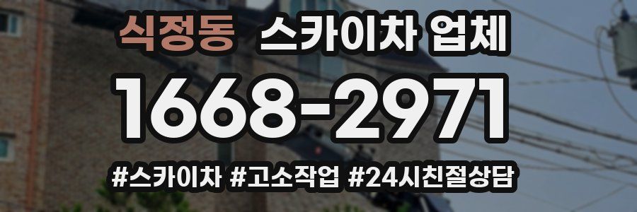 식정동 스카이차 업체