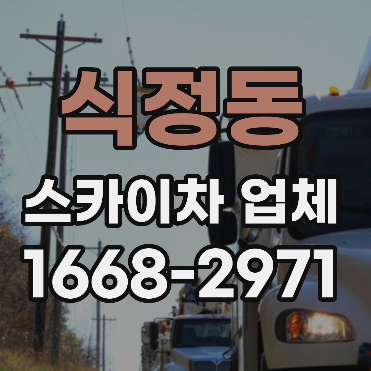 식정동 스카이차 업체