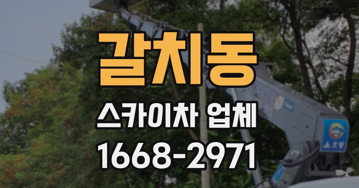 갈치동 스카이차 업체