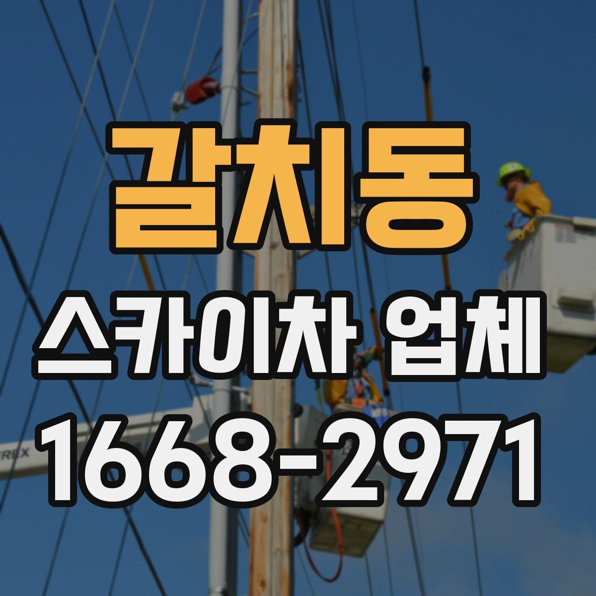갈치동 스카이차 업체